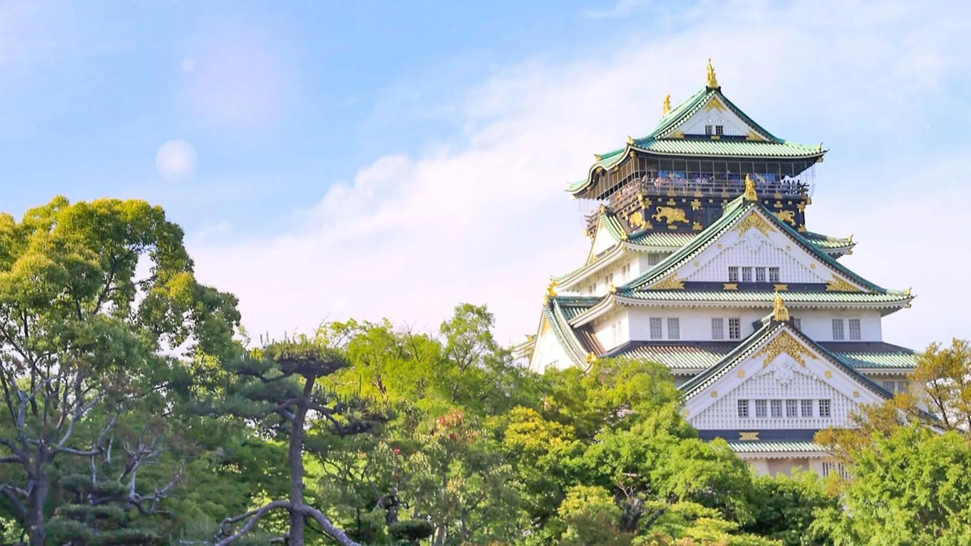 Hotel Toyoko Inn Osaka Semba Higashi